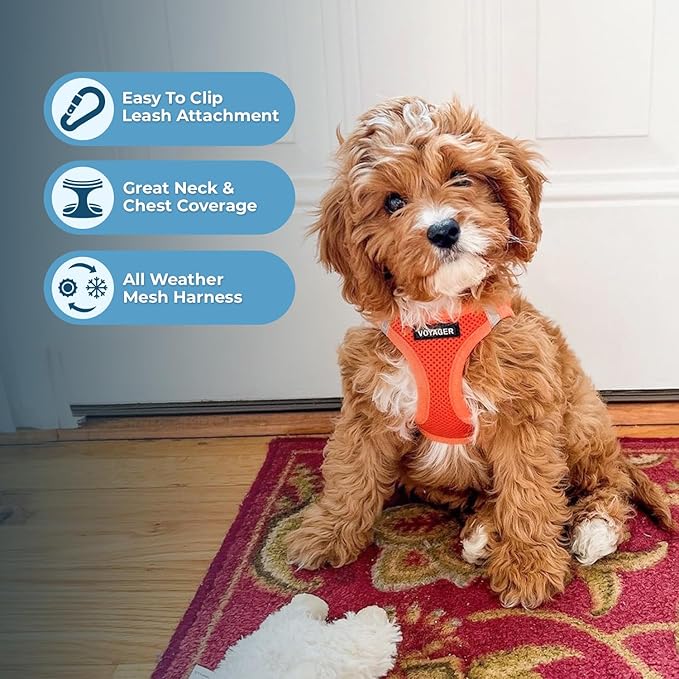 Voyager Step-in Air All Weather Mesh Harness and Reflective Dog 5 ft Leash Combo with Neoprene Handle, for Small, Medium and Large Breed Puppies by Best Pet Supplies - Harness Leash Set (Orange), L