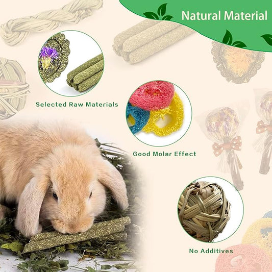 Rabbit Chew Toys for Teeth, 16PCS Natural Timothy Hay Chew Toy, Improve Dental Health for Bunny/Chinchilla/Guinea Pig/Hamsters/Holland Lop, Small Rodent Pet Molar Teeth Treats Toys
