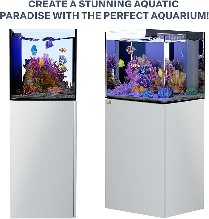 Saltwater Aquarium Tank | 37 Gallon Ultra Clear Glass with Sump, White