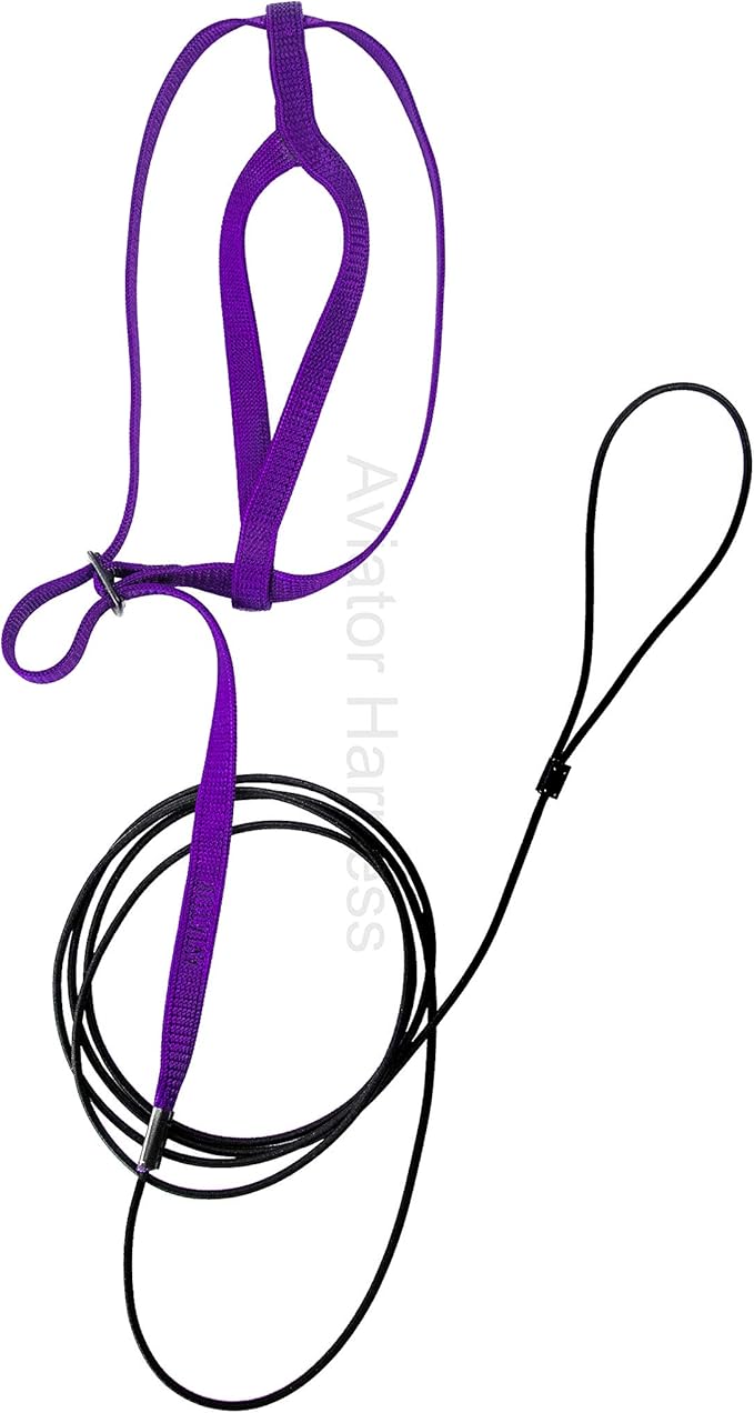 The AVIATOR Pet Bird Harness and Leash: Medium Purple