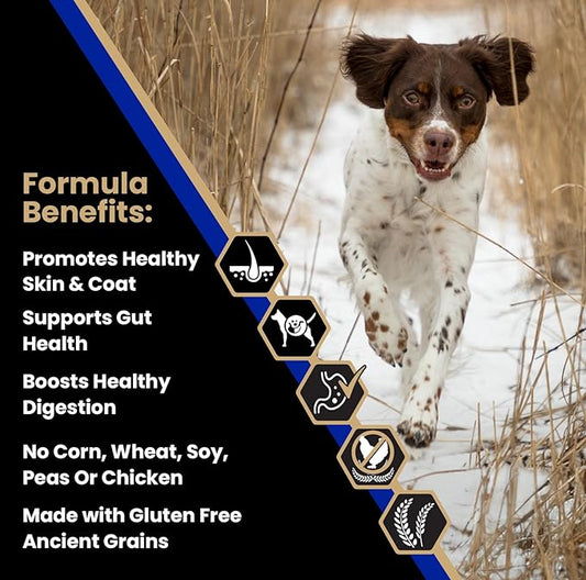 VICTOR Super Premium Dog Food — Sensitive Skin and Stomach — Beef Meal & Brown Rice Recipe Dry Kibble — Gluten Free, No Chicken, Ideal for Dogs with Allergies — Adult and Puppy Food, 5 lb