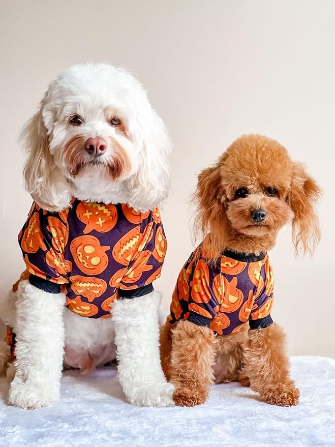Fitwarm Halloween Pumpkin Dog Pajamas, Funny Dog Winter Clothes for Small Dogs Girl Boy, Pet Jumpsuit, Cat Halloween Costumes with Feet, Lightweight Velvet, Black, Orange, XS