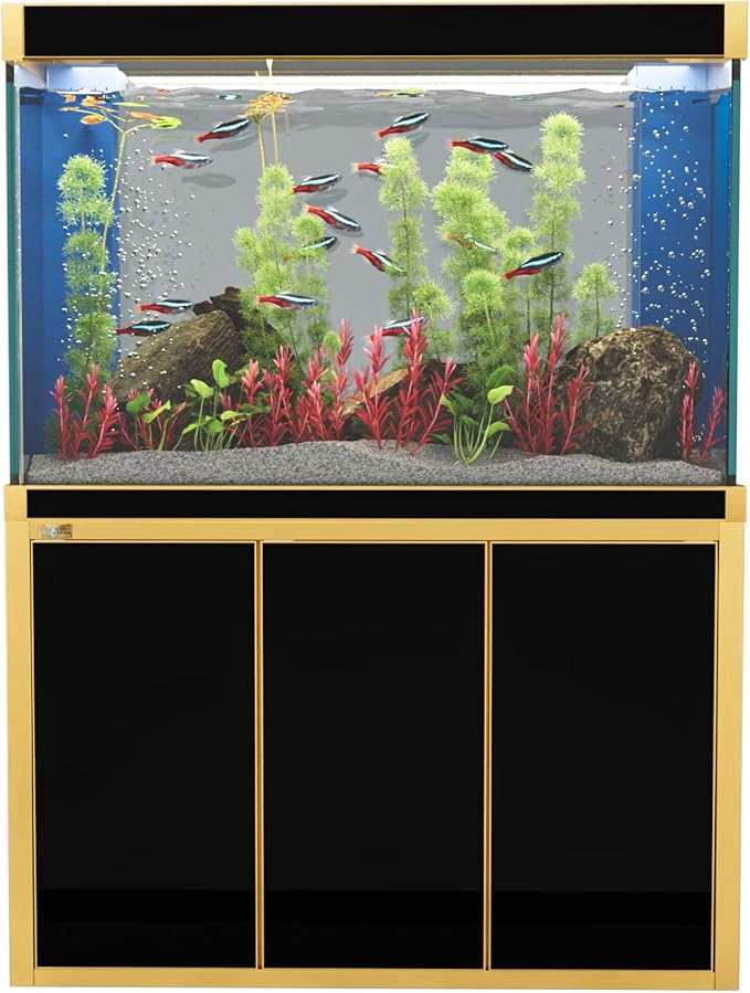 175 Gallon Aquarium Fish Tank with Upright Fishtank Stand Water Pump Freshwater Filter LED Bundle and Straight Corners Clear Glass - Black with Gold Trims