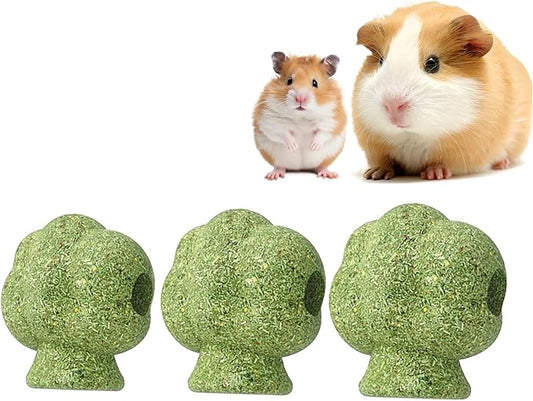 mini&moe Hamster Chew Toys for Teeth - Guinea Pig Chews and Treats Natural Hamster Enrichment Toys Improve Dental Health for Rat, Bunny, Chinchilla, Gerbils and Small Animal