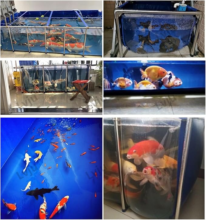 Koi Pond with Window, Canvas Fish Pond, Stainless Steel One Side Clear Fish Tank Steel Frame Large Aquarium for Fish and Turtle Farming, Easy Assembly (L39.37xW23.62xH20.08 inch)