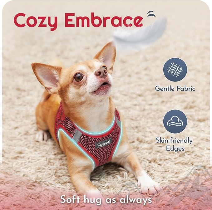 Eagloo Small Dog Harness and Leash Set, Step in Puppy Vest with Breathable Soft Mesh, Walking Reflective Pet Harness for Medium Small Dogs, Red, L
