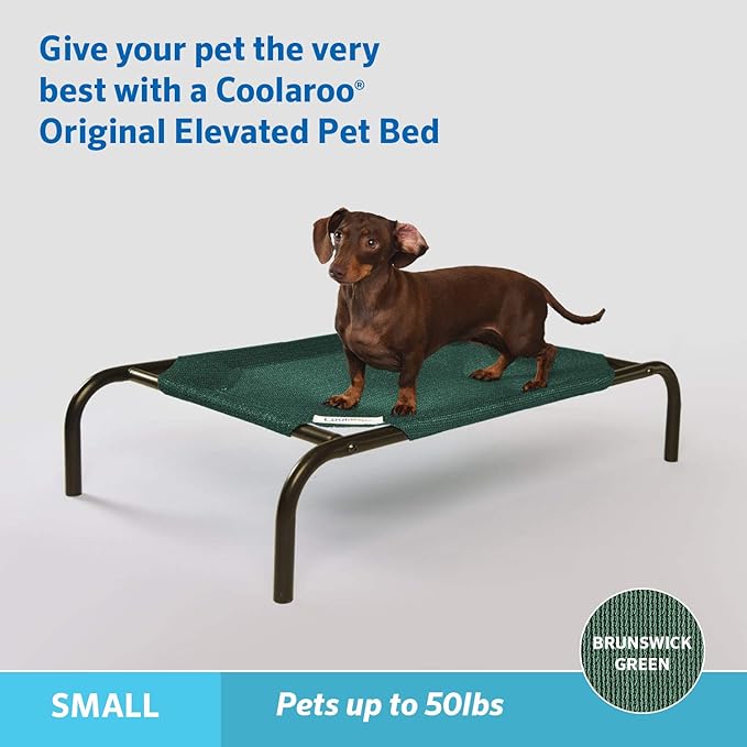 Coolaroo The Original Cooling Elevated Pet Bed,Brunswick Green, Small