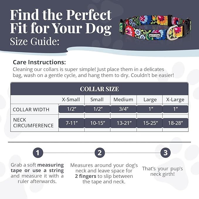 Lucky Love Dog - Easy Click Buckle Dog Collar with Leash Set Combo, Durable & Comfortable for Male & Female Dogs, Pet Collar for Small to Large Dogs, Secure Fit - Bailey Combo, Medium