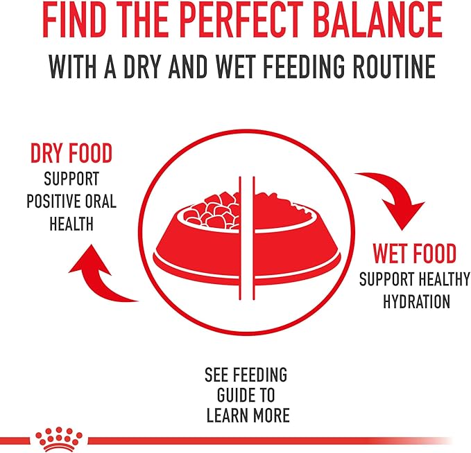 Royal Canin Size Health Nutrition Small 8+ Senior Dry Dog Food, 2.5 lb Bag