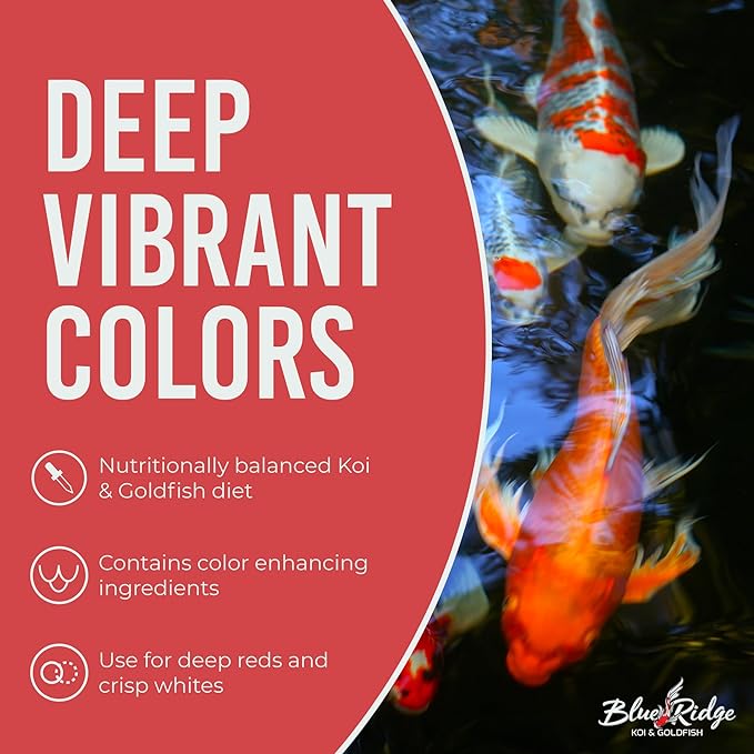 Blue Ridge Koi Fish Food 5lb - Koi Food 3/16” Large and Mini Blend Growth Formula, Goldfish Food, Premium Fish Food for Ponds, Ponds Fish Food, Floating Pond Pellets