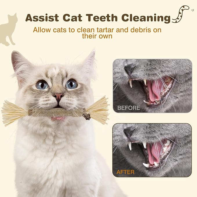 2 Pack Silvervine Sticks for Cats - Cat Chew Toy for Teeth Cleaning, Edible Matatabi Kitty Chew Sticks, Catnip Cat Toys for Indoor Cats (2 Sticks)