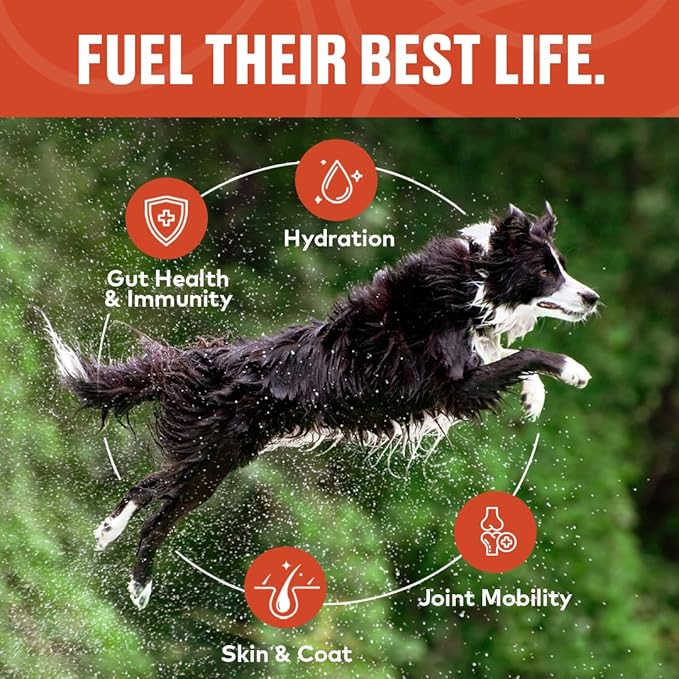 Beef & Chicken Bone Broth Concentrate for Dogs - Collagen Protein Supplement for Digestion, Mobility, Coat, Immune System, Joints - Healthy Dog Food Topper - Human Grade (2pk, 60 Servings)