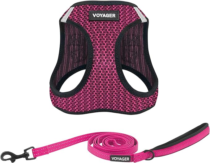 Voyager Step-in Air All Weather Mesh Harness and Reflective Dog 5 ft Leash Combo with Neoprene Handle, for Small, Medium and Large Breed Puppies by Best Pet Supplies - Fuchsia (2-Tone), M