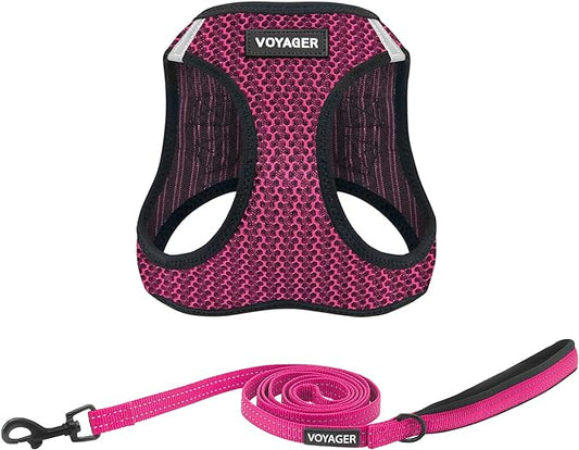 Voyager Step-in Air All Weather Mesh Harness and Reflective Dog 5 ft Leash Combo with Neoprene Handle, for Small, Medium and Large Breed Puppies by Best Pet Supplies - Fuchsia (2-Tone), S
