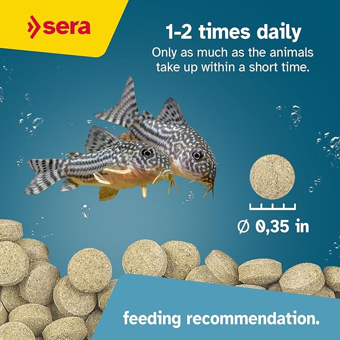 sera Viformo Nature Catfish Food 5.6 oz (250 ml) | Rich in gammarus & Seaweed Vitamins | Ideal for Bottom Feeders | No Artificial additives | Maintains Clear Water | 4% Protein-Rich gammarus