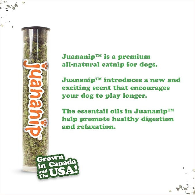 Doggijuana Tuffer Chewer Plush Dog Toy | Funny Dog Toy Plush with Juananip Catnip for Dogs | Calming Aid for Dogs | Interactive Squeaky Chew Toy for Play (Supreme Pizza)