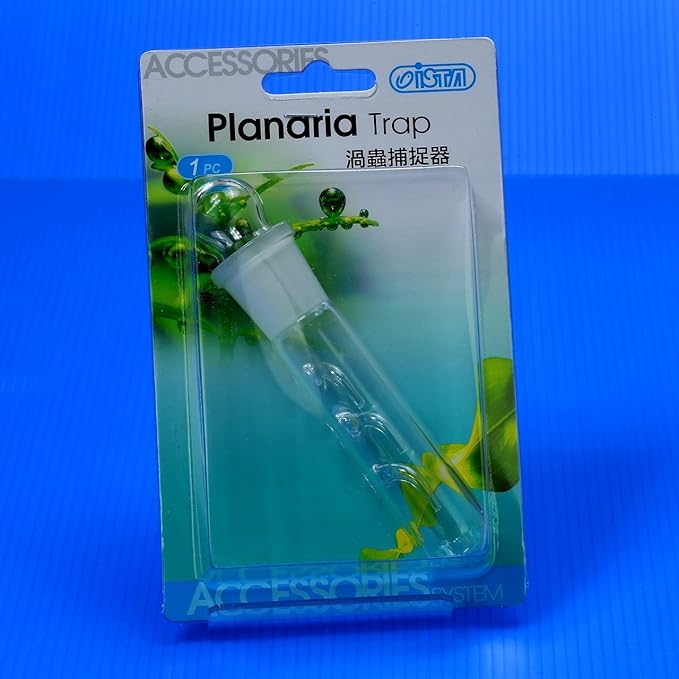 Clear Glass Planaria Trap for Cherry Shrimp Crystal red shrimp dwarf shrimp by Aquarium Supplies
