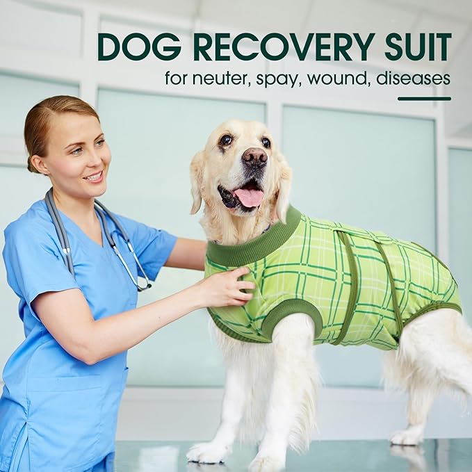 Kuoser Dog Recovery Suit for Female Male Dogs, Post-Surgery Bodysuit for Spay Neuter, Dog Onesie After Surgery, Anti-Licking Pet Surgical Recovery Suit, Green XL
