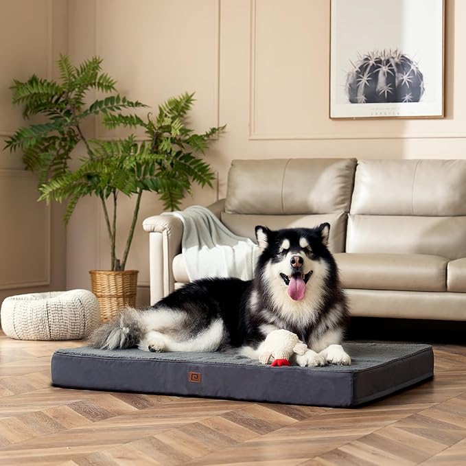 EHEYCIGA Washable Dog Beds for Large Dogs, Big Orthopedic Large Dog Bed with Removable Cover, Durable Pet Bed Dog Mat Mattress Cushion, Grey(36 x 27)