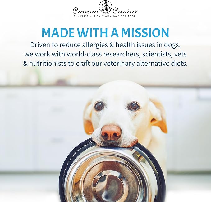 Canine Caviar - Leaping Spirit: Venison & Pearl Millet Alkaline Dry Dog Food, Limited Ingredients, Gluten-Free, Based on Science & Research, Veterinary Alternative Diet (4.4 Pound Bag)