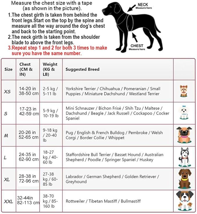 HOTGOL Custom No Pull Dog Harness with Personalize Name and Phone Number Tag,Reflective Breathable Adjustable Pet Vest for Small to Large Dogs