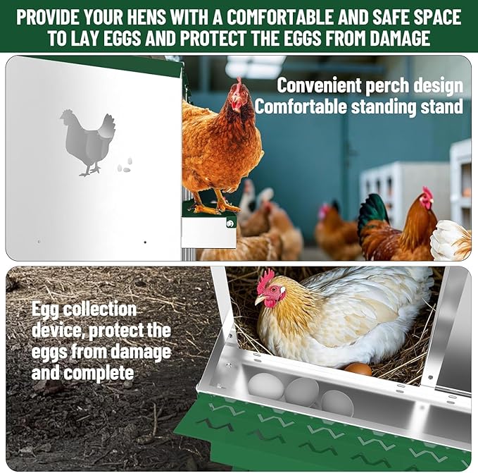 10 Compartments Chicken Nesting Box,Metal Chicken Egg Laying Box, Nesting Boxes,Easy Egg Collection, Easy Cleaning（Green）