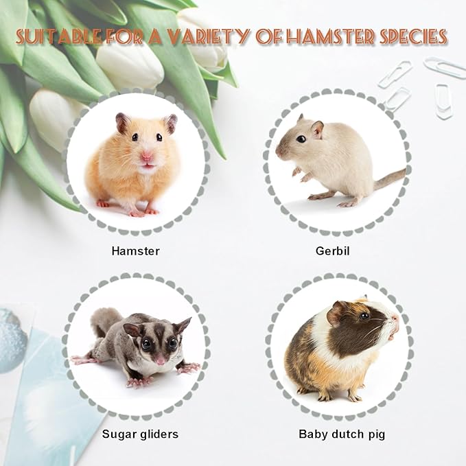 LOS ANDES Hamster Maze Double-Decker Wood House, Hamster Seesaw Toy, Bridge and Swing for Dwarf Gerbil Mouse Mice Rat Small Animals(Only for Small Hamster)