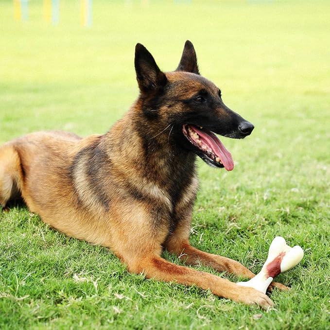 Tikaton Indestructible Dog Chew Toys for Aggressive Chewers, Bacon Flavor Durable Dog Teething Chew Toys Bones for Large/Medium/Small Puppies