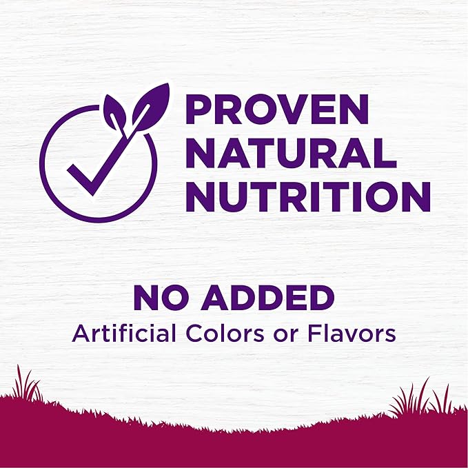 Wellness Complete Health Small Breed Dry Dog Food With Grains, Made In USA with Real Turkey and Natural Ingredients, For Dogs Up To 25 lbs, Healthy Weight, 12 Pound Bag