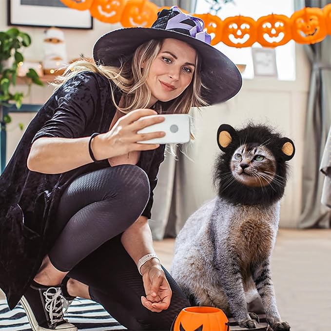 Lion Mane Halloween Costume for Small Cats & Puppy - Pet Outfit for Birthdays, Cosplay, Clothes (Black)