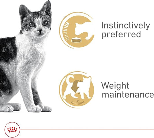 Royal Canin Feline Health Nutrition Adult Instinctive Adult Thin Slices in Gravy Cat Food, 3 oz (Pack of 24)