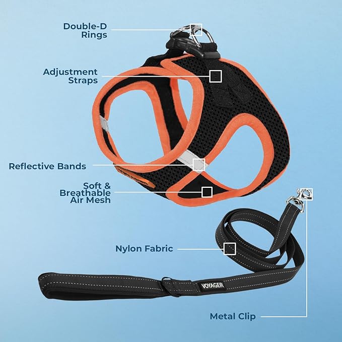 Voyager Step-in Air All Weather Mesh Harness and Reflective Dog 5 ft Leash Combo with Neoprene Handle, for Small, Medium and Large Breed Puppies by Best Pet Supplies - Black/Orange Trim, X-Large