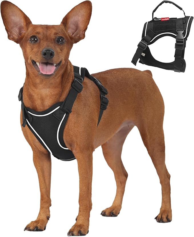 Dog Harness and Leash Set, Small Sized No Pull Pet Harness with Control Handle, Adjustable Tactical Harness for Small Medium Dogs Cats, Reflective Puppy Harness for Walking Hiking Training