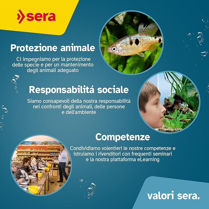 sera Koi Color Large 3.8 L 2.1 lb (980 g) | Natural Color-Enhancing Koi Fish Food for Ponds | Fish Food Pellets with Spirulina, Krill & Gammarus | Supports Growth & Vivid Colors | Fishfood