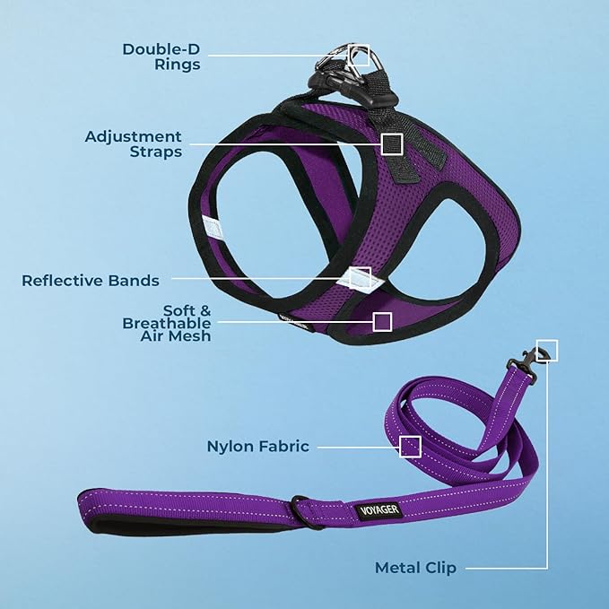 Voyager Step-in Air All Weather Mesh Harness and Reflective Dog 5 ft Leash Combo with Neoprene Handle, for Small, Medium and Large Breed Puppies by Best Pet Supplies - Purple/Black Trim, Medium
