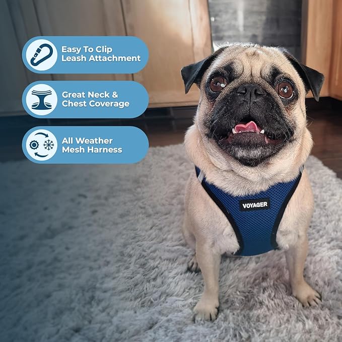 Voyager Step-in Air All Weather Mesh Harness and Reflective Dog 5 ft Leash Combo with Neoprene Handle, for Small, Medium and Large Breed Puppies by Best Pet Supplies - Blue/Black Trim, X-Large