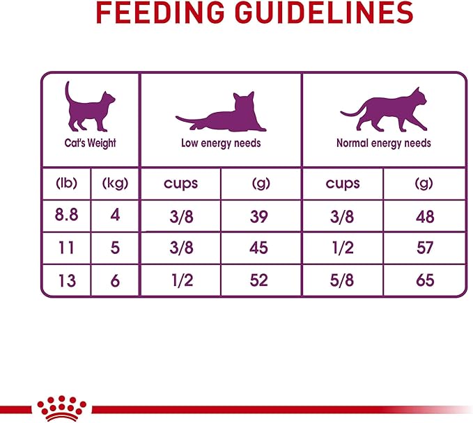 Royal Canin Adult Cat Sensitive Digestion Dry Adult Cat Food, 15 lb bag