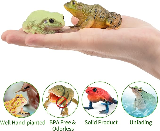 Toymany Frog Toy Figures, Plastic Rainforest Woodland Animals Toy Frogs Set with Realistic Poison Dart Frog, Cake Topper Party Favor Garden Flowerpot Plants Decor