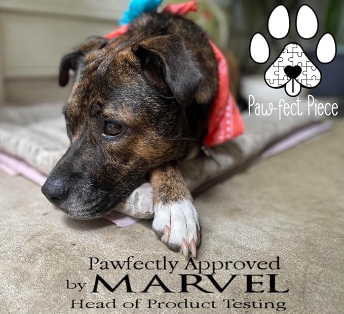 Paw-FECT Piece - Funny Plush Squeaky Dog Toy for Small/Medium/Large Dogs. Unique and Hillarious Gift for All Occasions.