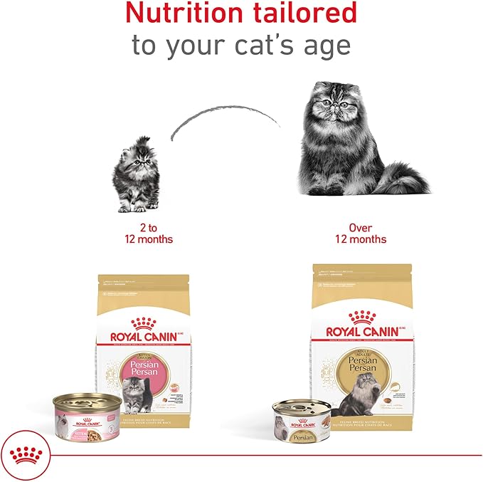 Royal Canin Feline Breed Nutrition Persian Adult Loaf in Sauce Cat Food, 3 oz (Pack of 6)