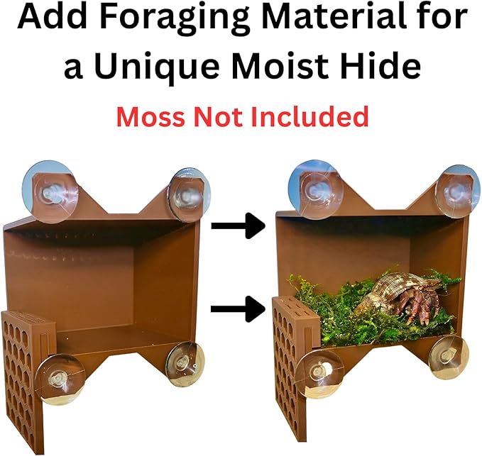 Hermit Crab Climbing Wall Foraging Cave | Hermit Crab Ladder Viewing Moist Hide Tank Enrichment Decor | Hideaway Decoration Accessories Supplies Toys Ornaments