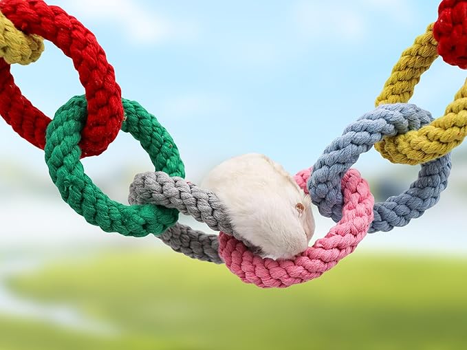 Dnoifne Sugar Glider Hanging Twelve-Ring Climbing Toys, Colorful Swing Toys, Cage Accessories for Ferret Hamster Squirrel Chinchilla Parrots