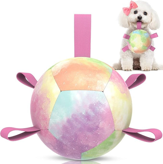 QDAN Dog Toys Soccer Ball with Straps, Durable Dog Balls for Tug of War, Puppy Birthday Gifts, Dogs Water Toy Small Dogs-Rainbow（5 Inch）