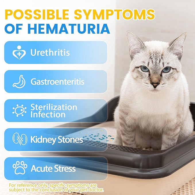 NEWORD Crystals Cat Litter Health Monitoring Color-Changing Cat Litter - Hematuria Detection - Helps Detect Irregularities in Cat Urine - Non-Clumping Crystal Litter with Silica Gel 8 LB. Bag