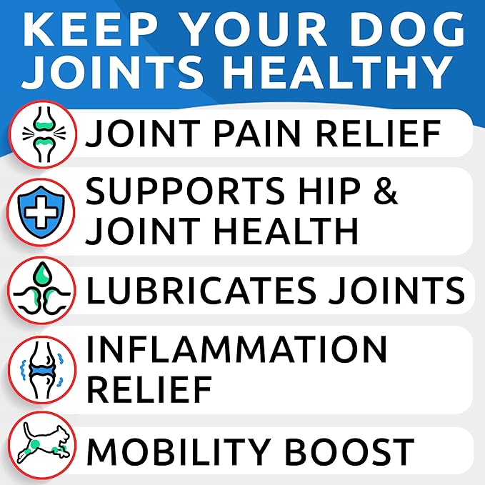 Glucosamine Chondroitin Dog Hip & Joint Supplement - Joint Pain Relief - Hip & Joint Chews for Dogs - Joint Support Large Breed - Senior Doggie Vitamin Pills Joint Health - (240 Treats - Bacon)