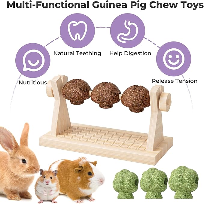 mini&moe Hamster Chew Toys for Teeth - Guinea Pig Chews and Treats Natural Hamster Enrichment Toys Improve Dental Health for Rat, Bunny, Chinchilla, Gerbils and Small Animal