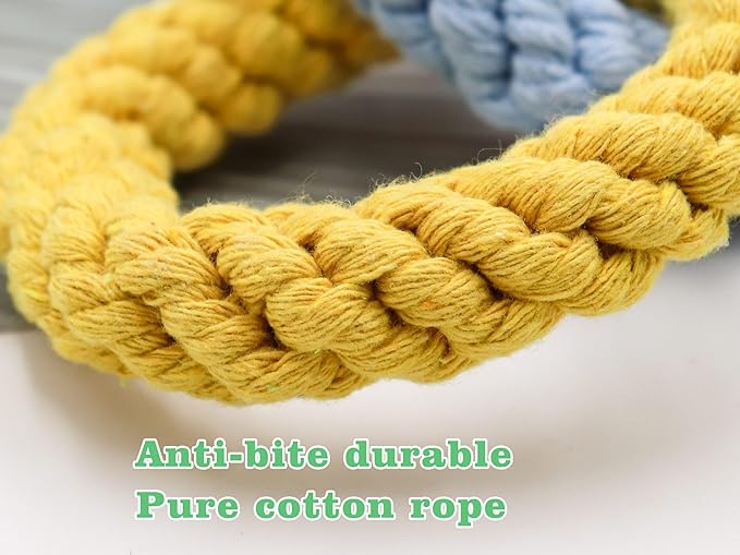 Dnoifne Sugar Glider Hanging Twelve-Ring Climbing Toys, Colorful Swing Toys, Cage Accessories for Ferret Hamster Squirrel Chinchilla Parrots