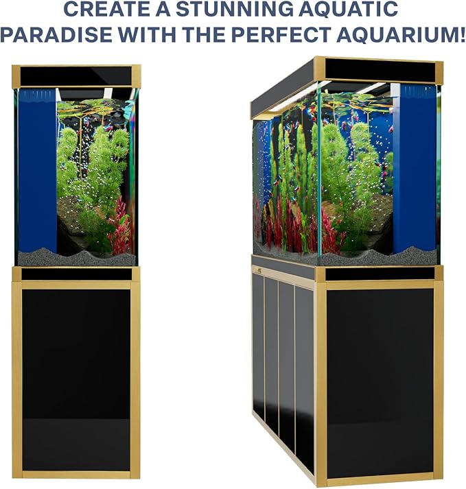 250 Gallon Aquarium Tempered Ultra-Clear Glass with Complete Setup in Black with Gold Trims