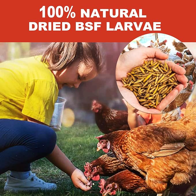 22LB Dried Black Solider Fly Larvae, BSFL is High Protein Chicken Feed with 85x More Calcium Than Dried Mealworms, Poultry Treats, Chickens Love, Birds Love, Hens Love, Ducks Love
