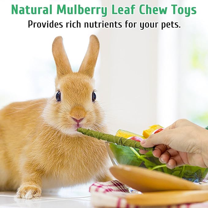 Fhiny Rabbit Chew Toys, 50g Natural Mulberry Leaf Crispy Rolls Small Animal Molar Snacks Chinchilla Sticks Guinea Pig Chews for Teeth Dental Care for Bunny Guinea Pig Chinchilla Hamster Gerbil